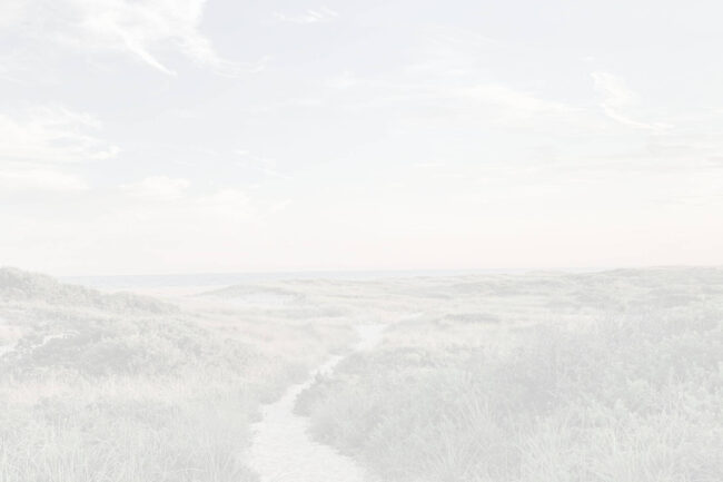 Hintergrundbild Weg durch Gras- und Pflanzenhügel