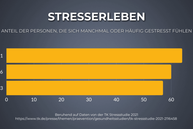 Diagramm zum Thema Stresserleben