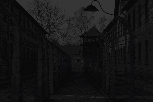 Hintergrundbild Zäune Ausschwitz