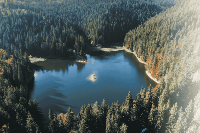 See im Wald von oben