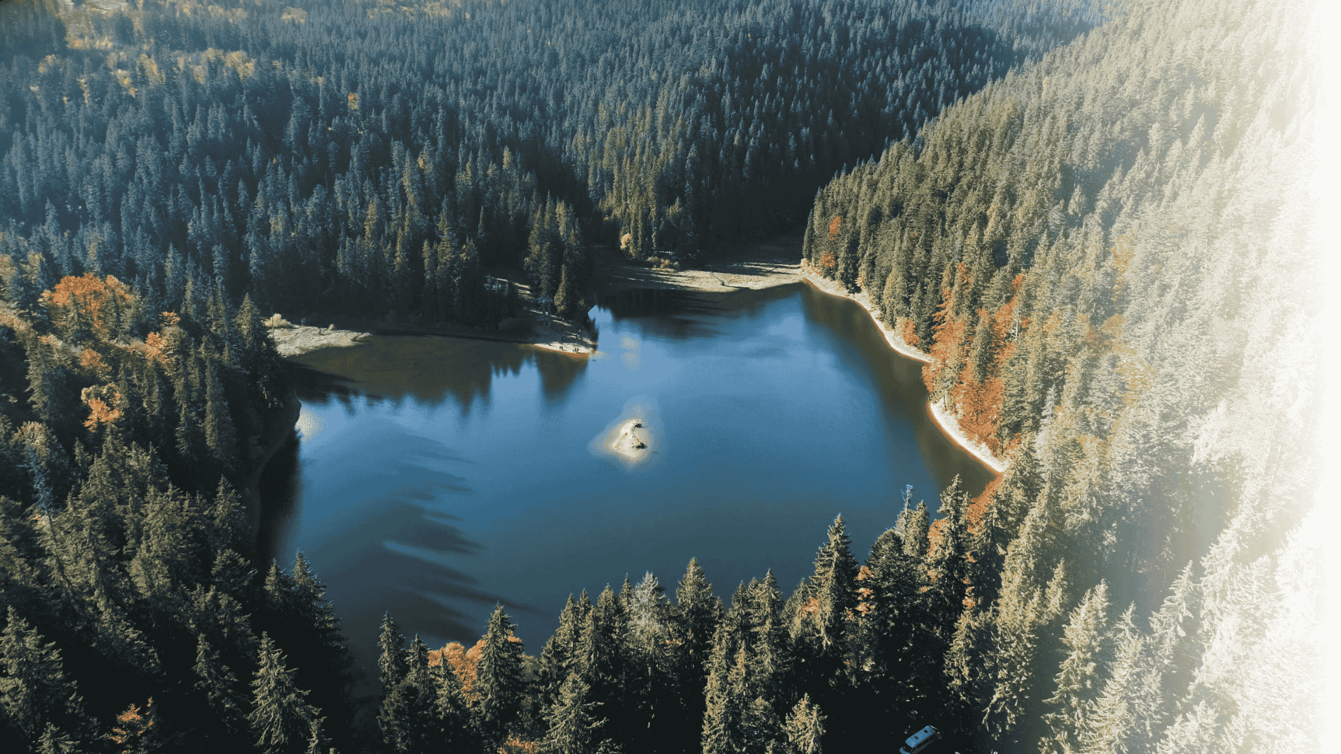 See im Wald von oben